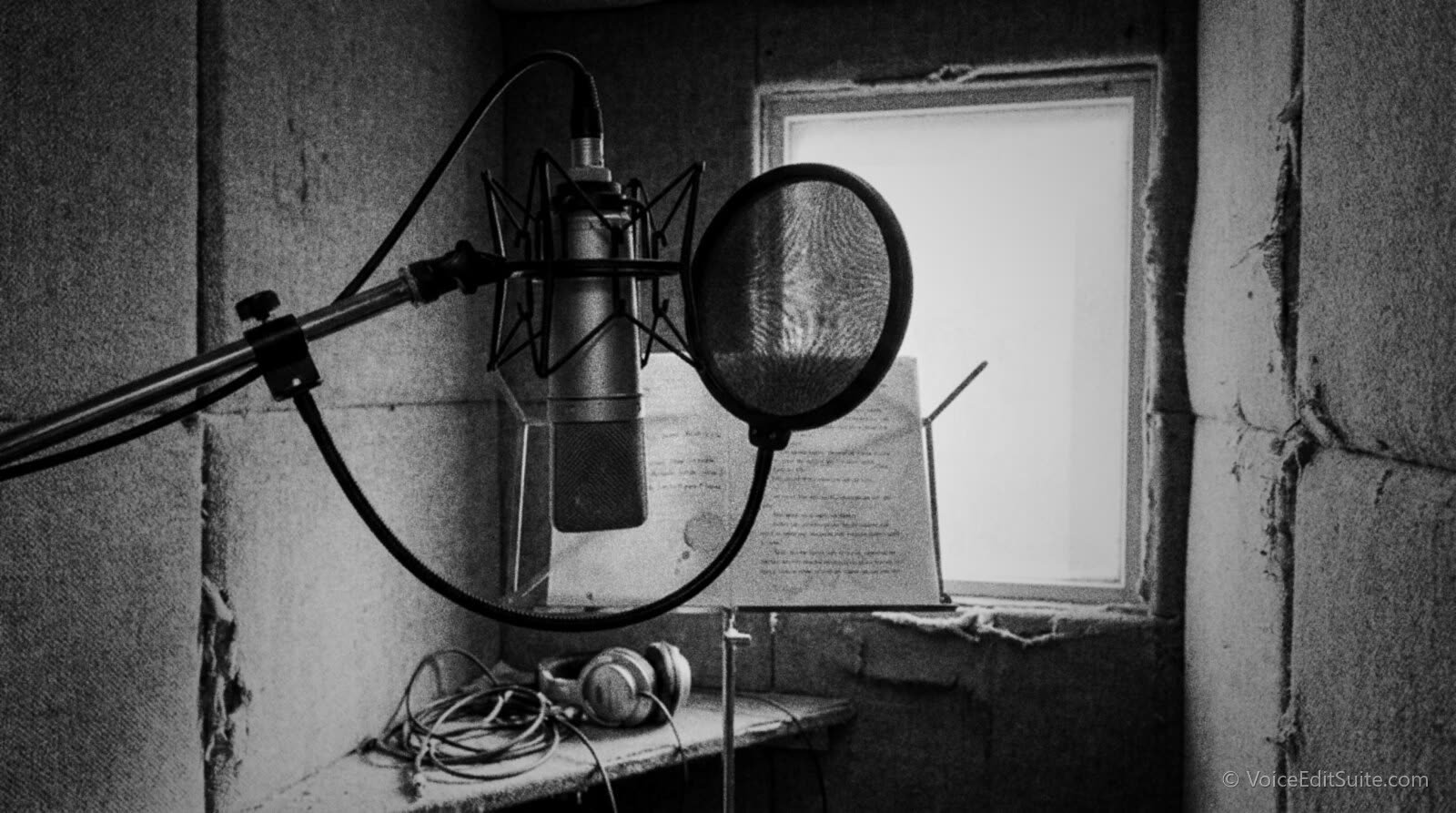 A double-layer pop filter on a gooseneck, angled slightly, about a hand's width in front of a large-diaphragm condenser microphone in a shock mount in a home voice-over booth